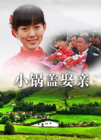 我妻子的传奇
